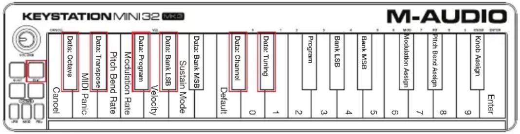 M-AUDIO Keystation Mini 32 MK3 - Neuzuweisung der Octave-Taster - 1