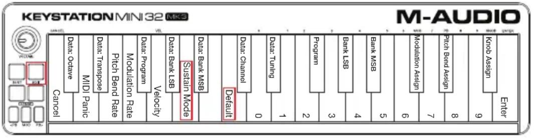 M-AUDIO Keystation Mini 32 MK3 - Modalità Sustain - 1