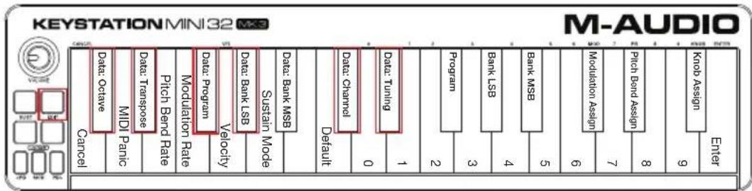 M-AUDIO Keystation Mini 32 MK3 - Riassegnazione dei pulsanti Octave - 1