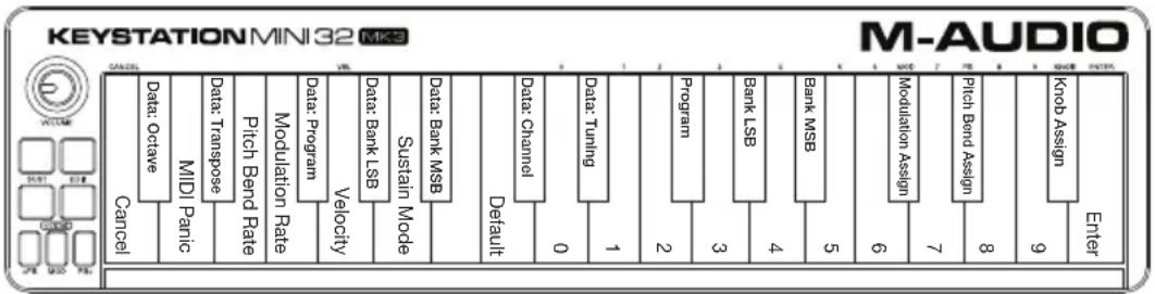 M-AUDIO Keystation Mini 32 MK3 - Keybed - 1