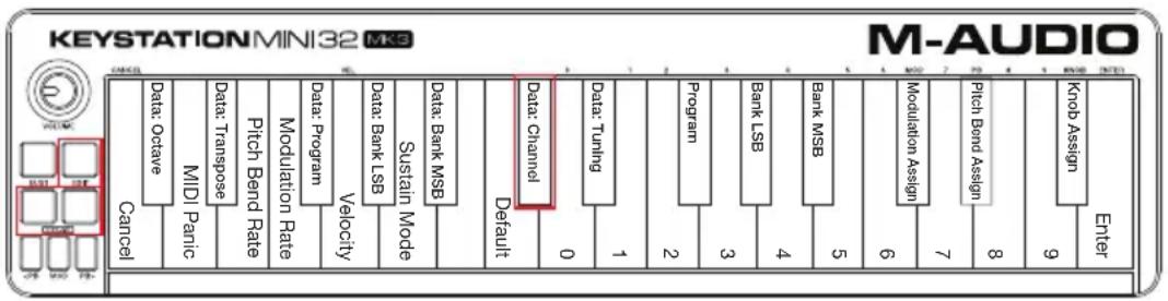 M-AUDIO Keystation Mini 32 MK3 - Canal - 1
