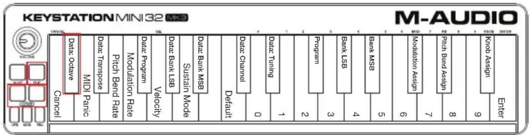 M-AUDIO Keystation Mini 32 MK3 - Pulsanti Octave - 1