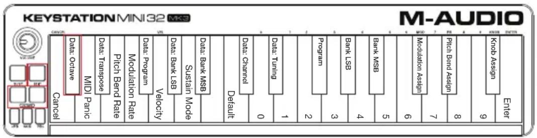 M-AUDIO Keystation Mini 32 MK3 - Botones Octave - 1