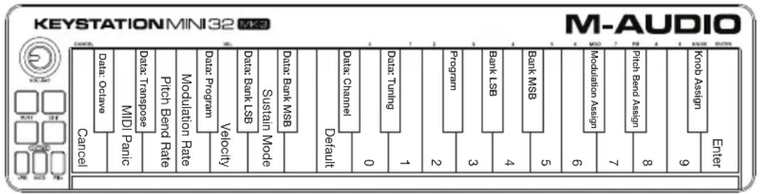 M-AUDIO Keystation Mini 32 MK3 - Placa del teclado - 1