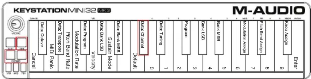 M-AUDIO Keystation Mini 32 MK3 - Canal - 1