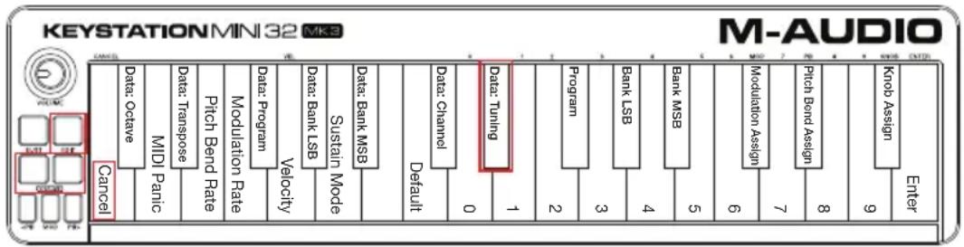 M-AUDIO Keystation Mini 32 MK3 - Afinación - 1