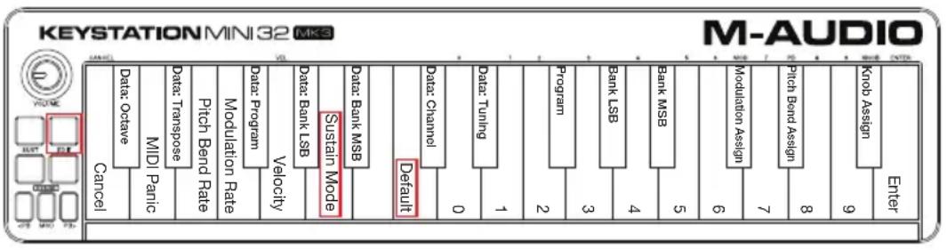 M-AUDIO Keystation Mini 32 MK3 - Sustain Mode - 1