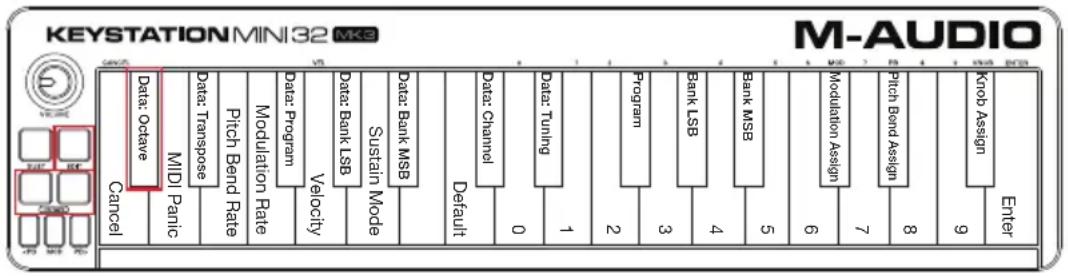 M-AUDIO Keystation Mini 32 MK3 - Octave Buttons - 1