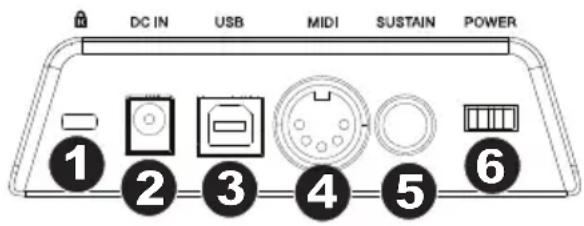 M-AUDIO Keystation 61 MK3 - Pannello posteriore - 1
