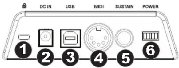 M-AUDIO Keystation 61 MK3 - Panneau arrière - 1