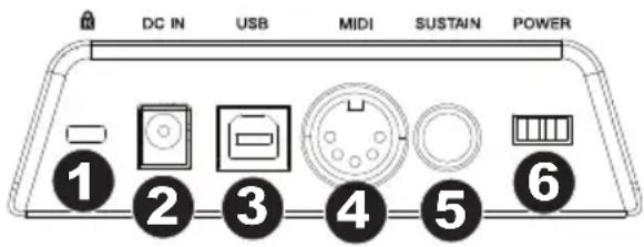 M-AUDIO Keystation 61 MK3 - Panel trasero - 1