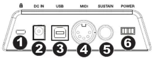 M-AUDIO Keystation 61 MK3 - Rückseite - 1