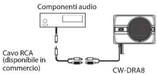 JVC CWDRA8 - Attenzione: - 2