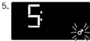 SOEHNLE Shape Sense Connect 200 - BMI - 13