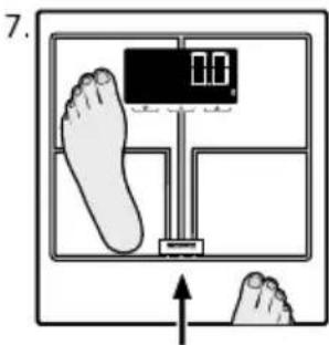 SOEHNLE Shape Sense Connect 200 - BMI - 17