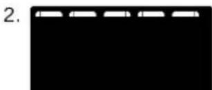 SOEHNLE Shape Sense Connect 200 - BMI - 29