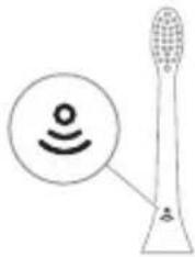PHILIPS Sonicare ProtectiveClean 4500 - Technologie BrushSync - 1