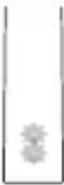 PHILIPS Sonicare ProtectiveClean 4500 - Quadpacer-n - 2