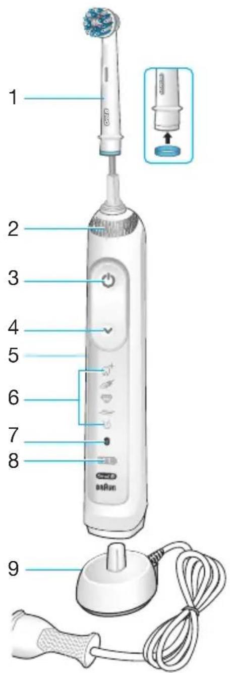ORAL-B Smart 6000N - Internet: - 1