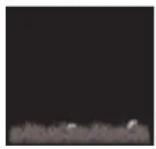 ALECTO WS5500 - Weather forecast: - 7