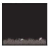 ALECTO WS5500 - Weather forecast: - 5