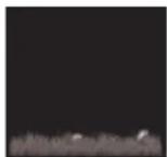 ALECTO WS5500 - Wettervorhersage: - 6