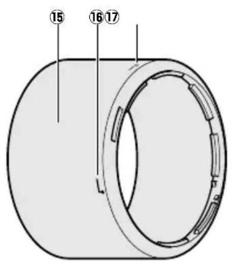 NIKON AFS Nikkor 70200mm f4G ED VR - ■ 焛斯の부름 - 2