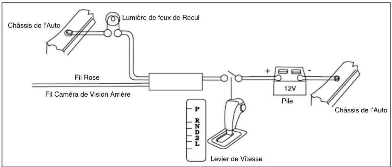 Rydeen DVA6 - Connexions Caméra de Vision Arrière - 1