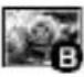 OPTOMA DC554 - - Leuchte - 5