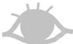 BRANDY BEST FLASH6S - 1