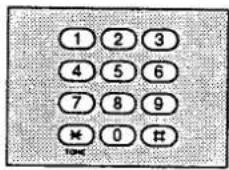 PANASONIC KXF2510 - Important: - 1