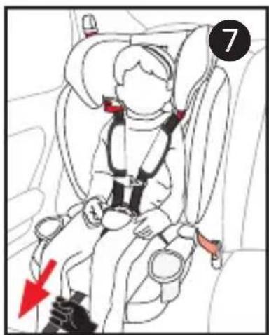 Harmony Optyma 3in1 Deluxe - SECURING CHILD IN CHILD RESTRAINT - 9