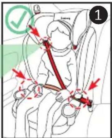 Harmony Optyma 3in1 Deluxe - WITHOUT BUILT-IN HARNESS - 3