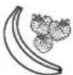 BRAUN MultiQuick 5 Vario Fit MQ5064 Shape - 14