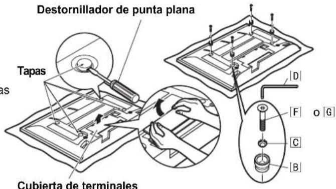PANASONIC TYWK42PR4 - Nota - 1