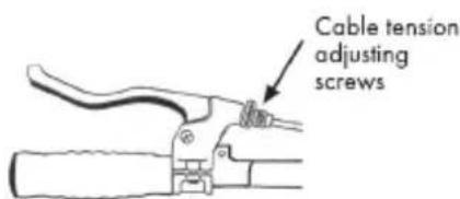 BH FITNESS Classic - Cantilever brake - 3