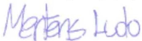 PowerPlus POWEW67904 - POWERPLUS POWEW67904 HU - 3