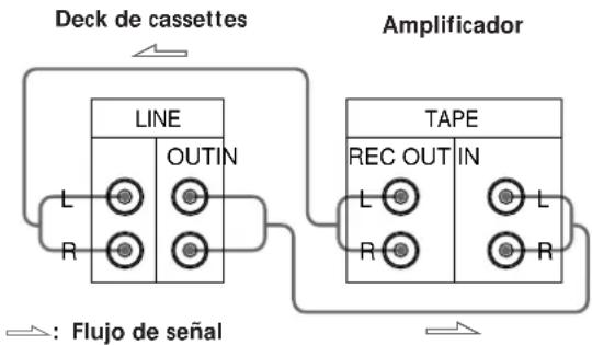 SONY TCWE425 - Conexiones - 1