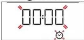 PRIVILEG PBWK3 ON8V IN - IMPOSTAZIONE DEL TIMER - 1