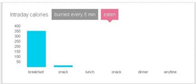 FITBIT Ultra - Section Calories - 2