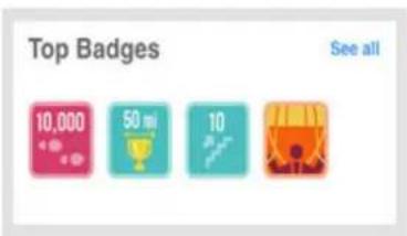 FITBIT Ultra - Badges - 1