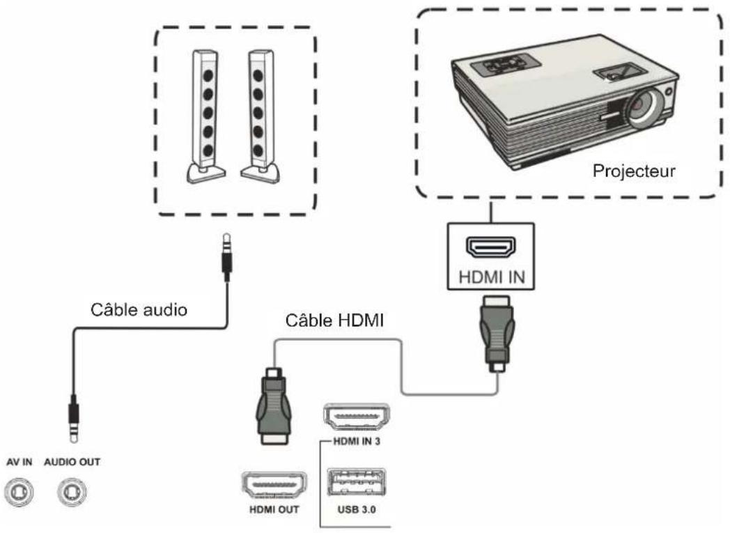 VIEWSONIC IFP98503 - Connexion pour la sortie vidéo - 1