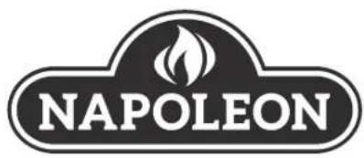 Napoleon TRAVELQ PRO285E - (Record information here for easy reference) - 3