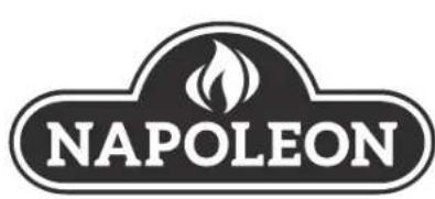 Napoleon TRAVELQ PRO285E - (Registrer informasjon her for enkel referanse) - 3