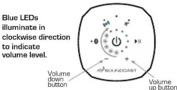 SoundCast VG3 - Fuel Gauge: - 1