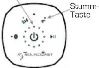 SoundCast VG3 - Anzeige für die Tastenfeldsperre: - 1