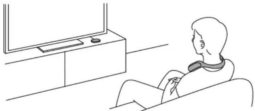 SONY SRSWS1 - Que puede hacer con el altovoz - 1