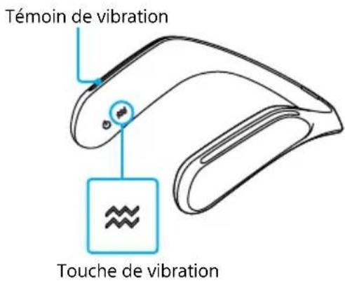 SONY SRSWS1 - Indication des témoins de vibration et niveau de vibration - 2