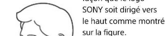 SONY SRSWS1 - Portez les enceintes correctement - 1