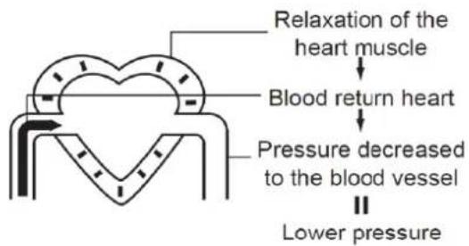 Relaxation of the heart muscle Blood return heart Pressure decreased to the blood vessel Lower pressure